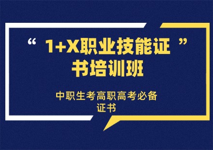 珠海1+X职业技能证书培训班